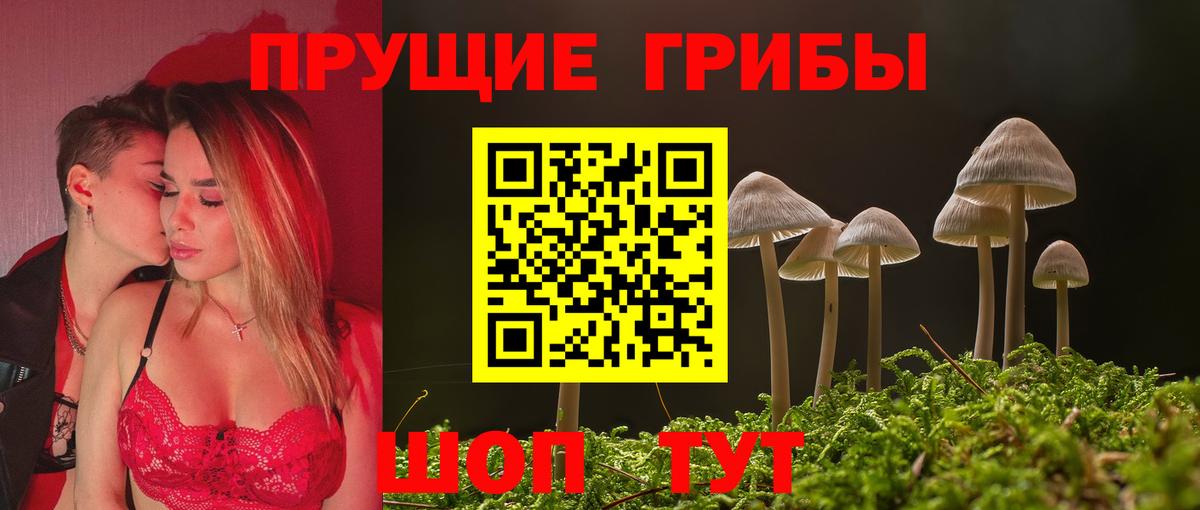 Галлюциногенные грибы мухоморы  Псилоцибиновые грибы мицелий  Чебоксары  Вход с VPN 
