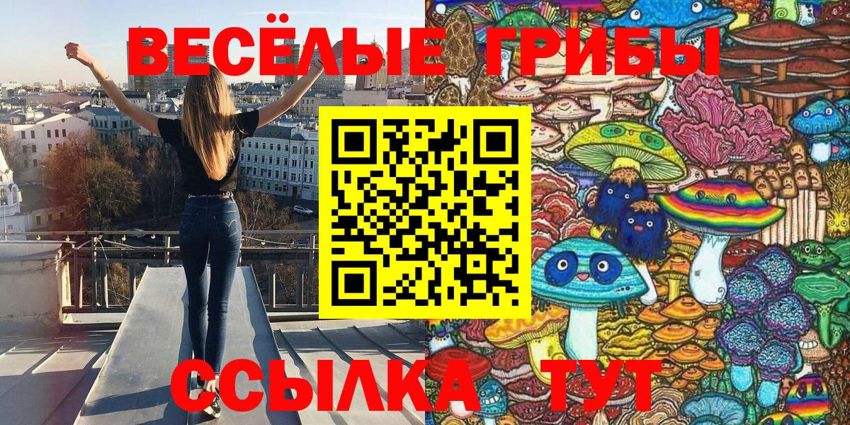 Псилоцибиновые грибы GOLDEN TEACHER Чебоксары